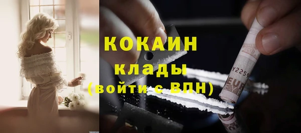 СК Алексин