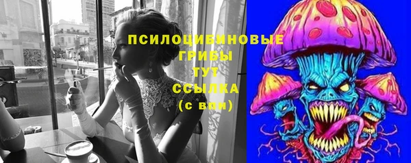 гидра Алзамай
