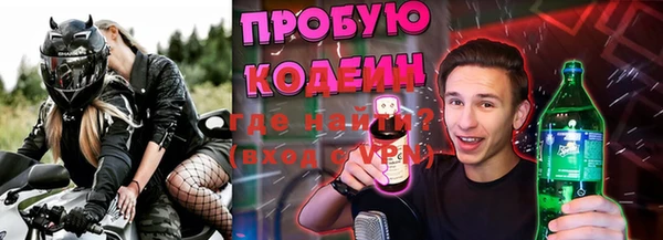 PSILOCYBIN Пересвет