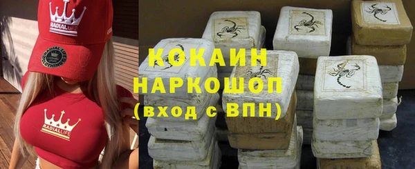 PSILOCYBIN Пересвет