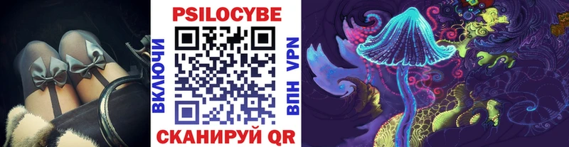 продажа наркотиков  Чегем  omg сайт  Галлюциногенные грибы прущие грибы 