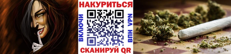 Конопля сатива Чегем